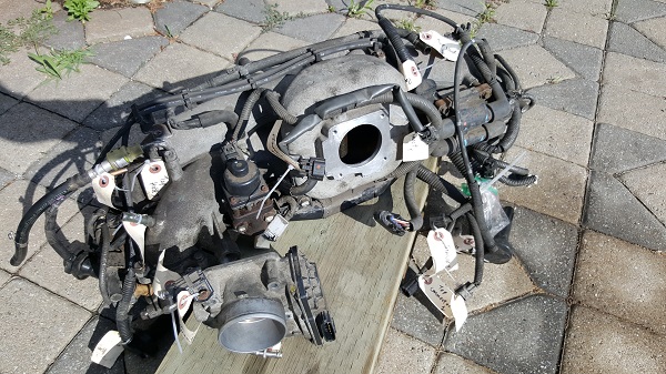 Throttle body and intake manifold
